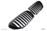 Griglia Nero Lucido per BMW Serie 5 G30 G31 (2017-2020)