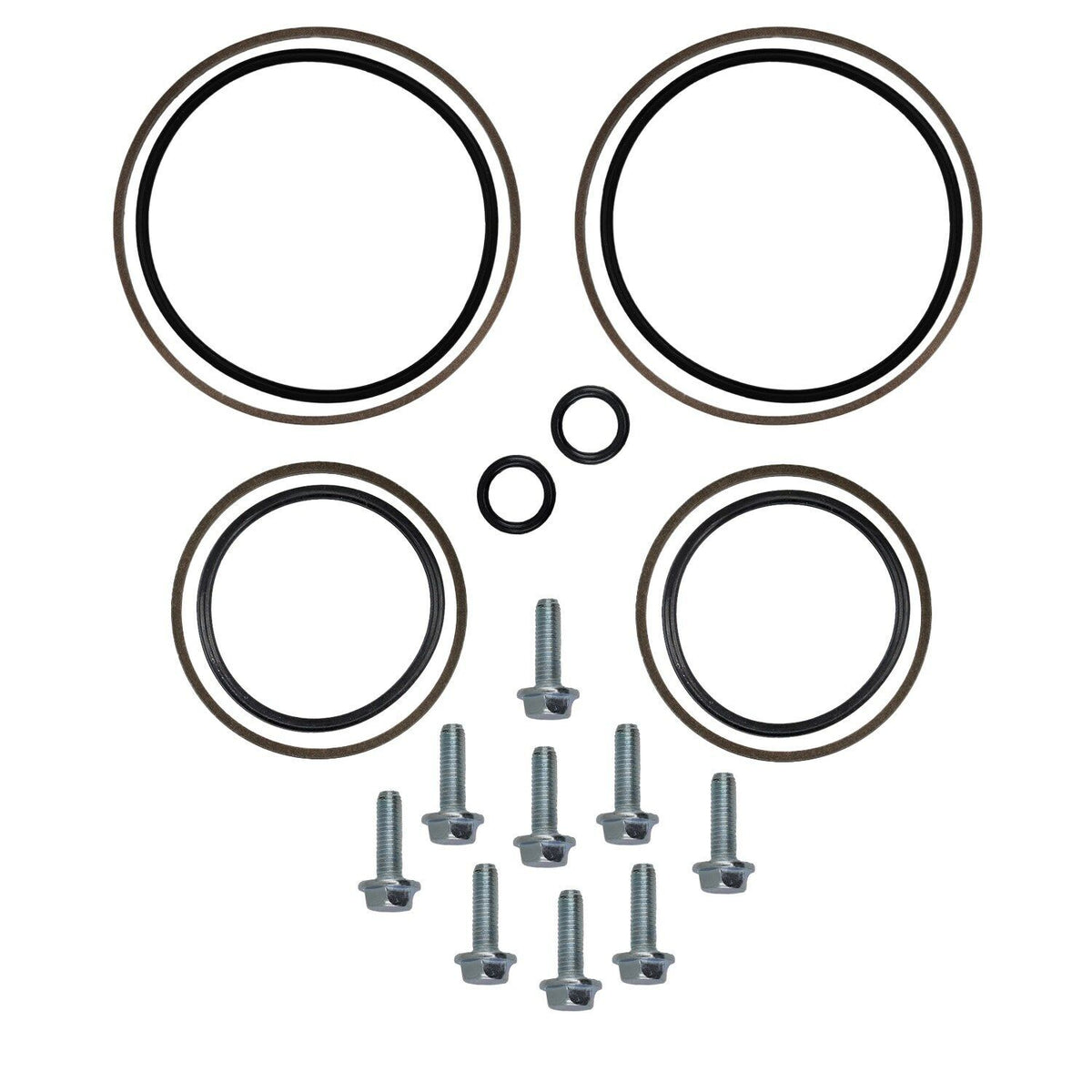 Kit Distribuzione Doppia Variabile BMW E46 E39 E36 E53 M52TU M56 M54
