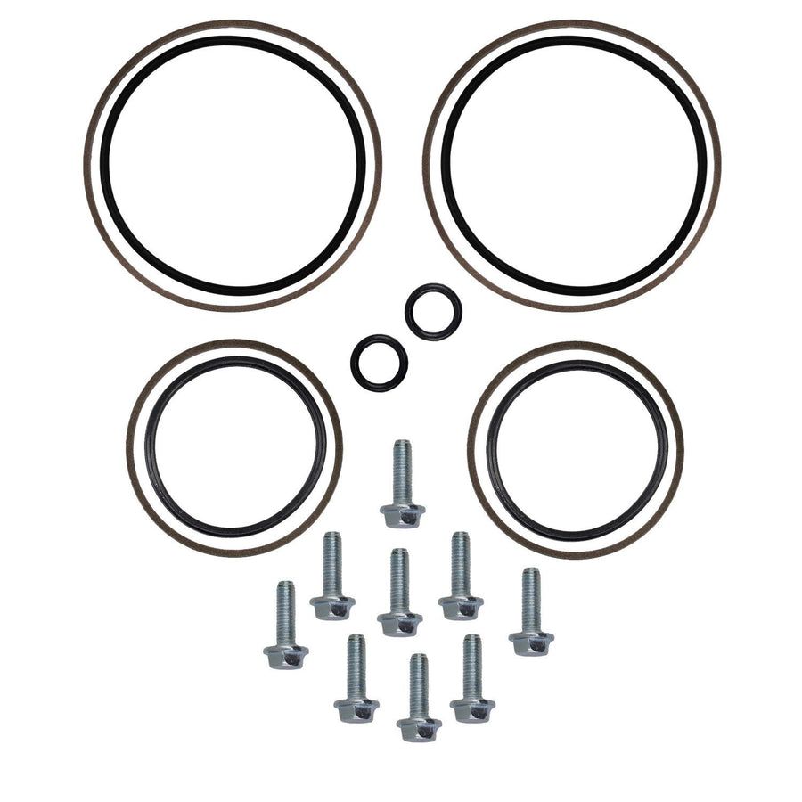 Kit Riparazione Doppio Vanos BMW E34 E36 E38 E39 Z3