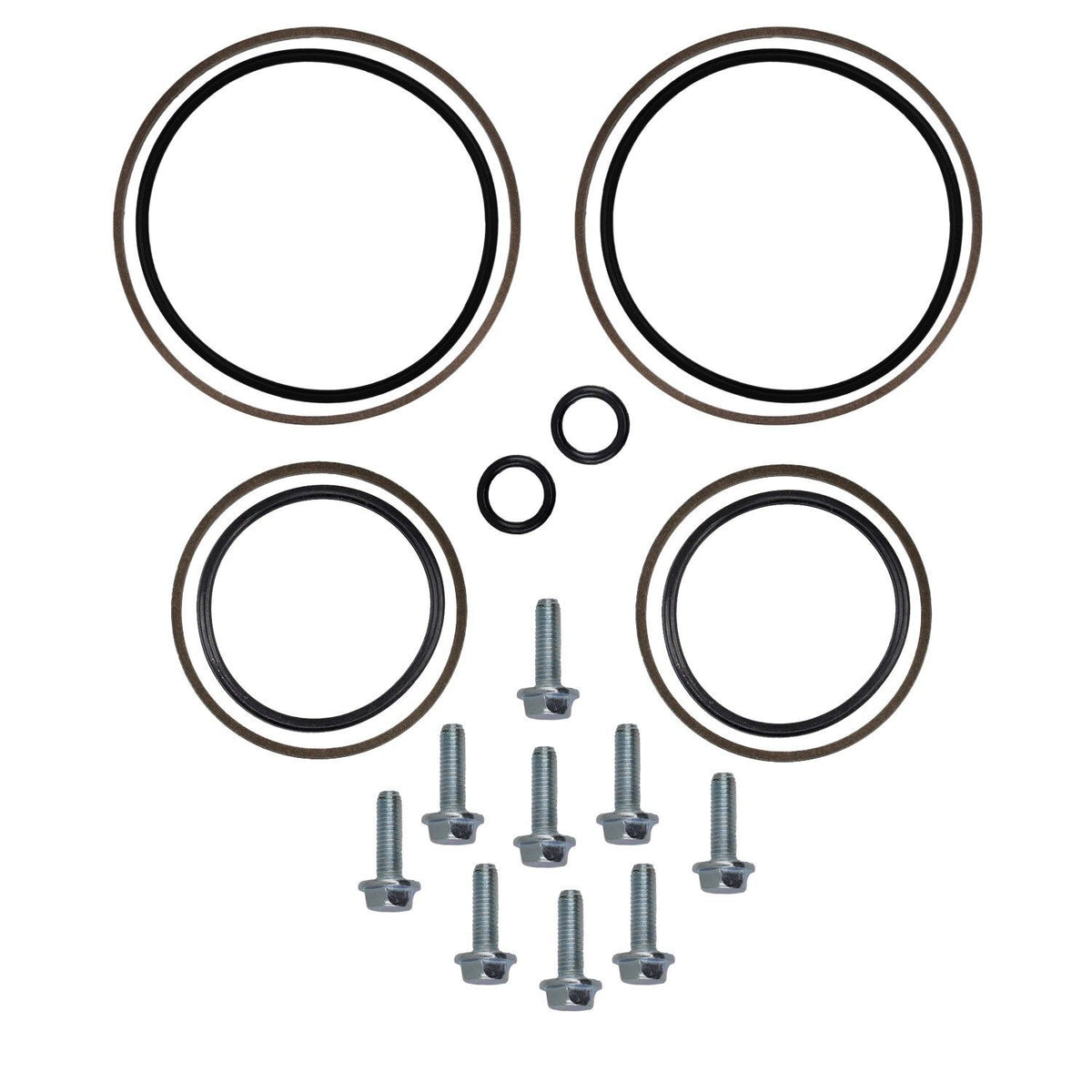 Kit Riparazione Doppio Vanos BMW E34 E36 E38 E39 Z3