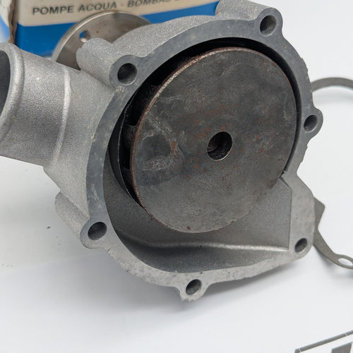 POMPA ACQUA GRAF per BMW Serie 5 6 7 E28 E34 E12 E23 E32 (dal '72) Ricambi Epoca