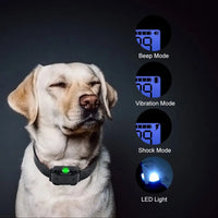 PER 1-2-3 CANI⭐COLLARE TELECOMANDO 800m ADDESTRAMENTO CANE SCOSSA,ELETTRICO LCD