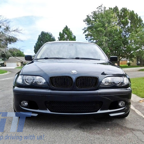 Griglie renali centrali per BMW Serie 3 E46 Facelift (10.2001-2005) Doppia stris
