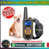COLLARE e TELECOMANDO 800m per Addestramento CANI SCOSSA ELETTRICO LCD