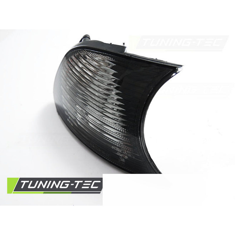 Frontale Fumè per BMW E46 (09.01-03.03) C/C - Accessorio Esterno Auto