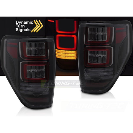 Ford F150 08-14 Fumé LED per Ford F150 MK12 (anni 2008-2014) Accessorio Esterno