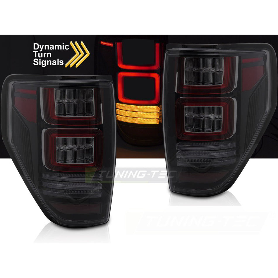 Ford F150 08-14 Fumé LED per Ford F150 MK12 (anni 2008-2014) Accessorio Esterno