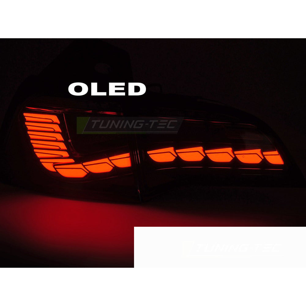 LED Fanali Posteriori per Tesla Model 3 (2017-2023) e Model Y - Fanali