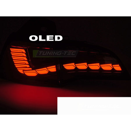 LED Fanali Posteriori per Tesla Model 3 (2017-2023) e Model Y - Fanali