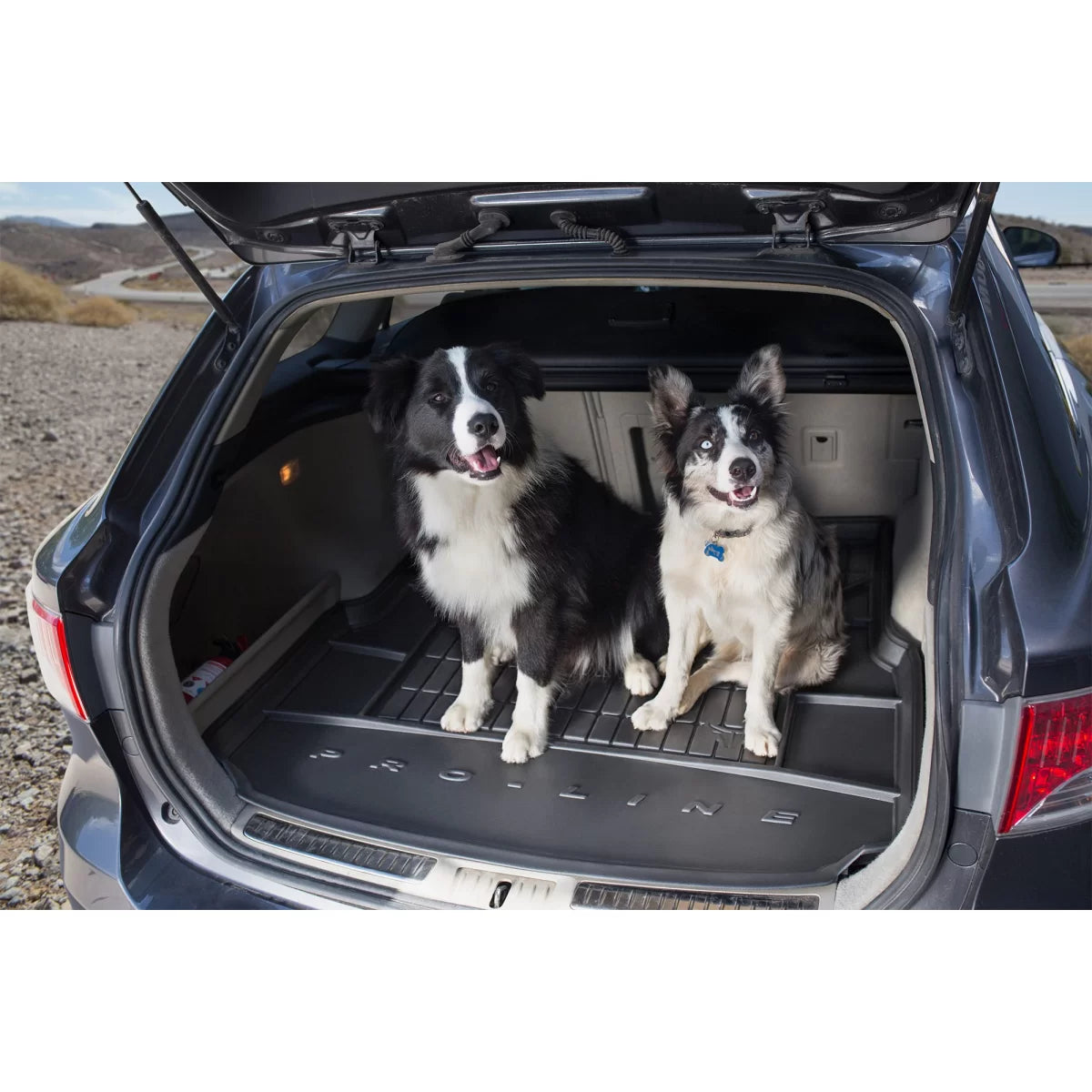 Tappetino Bagagliaio in Gomma Frogum ProLine per Ford Fiesta 2008-2017
