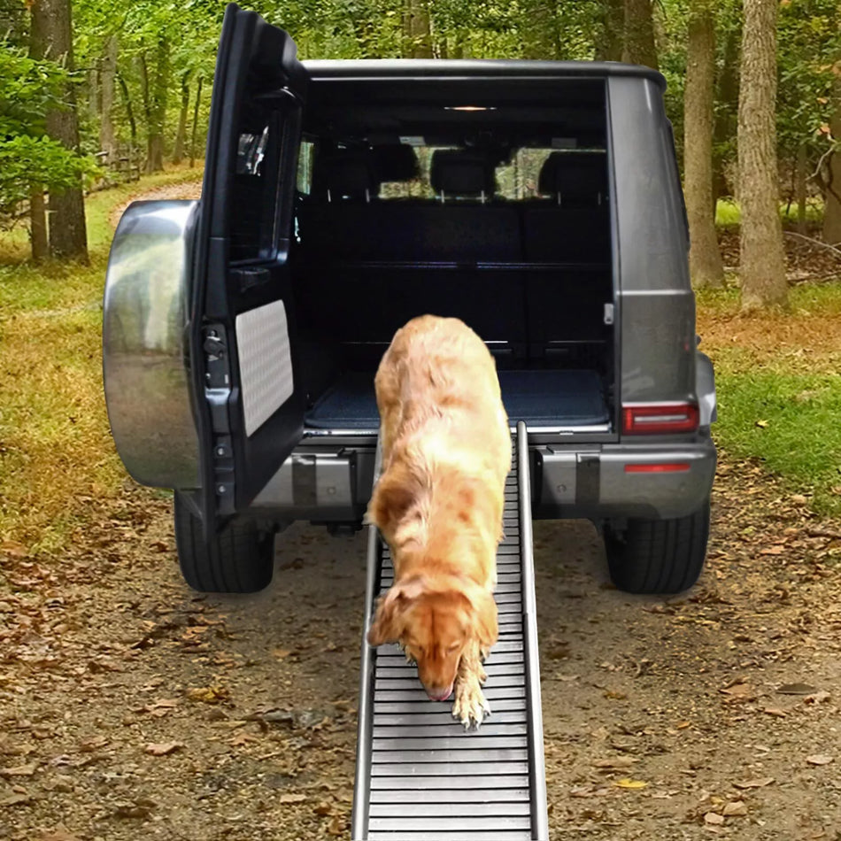 Rampa cani auto ingresso antiscivolo pieghevole,grigia 155x40 cm fino a 90 kg